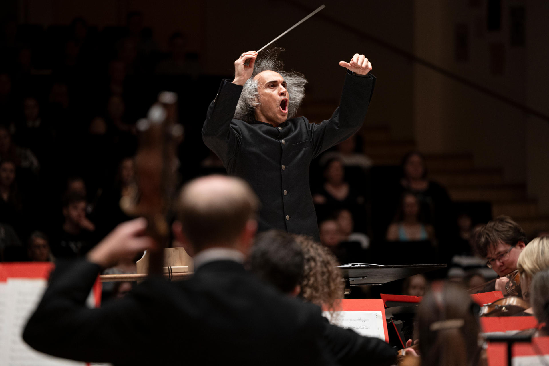 On the Journey with the Ring: interview with Anhony Gabriele